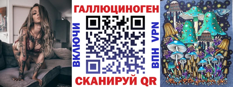 Псилоцибиновые грибы Psilocybe  Верхняя Тура 